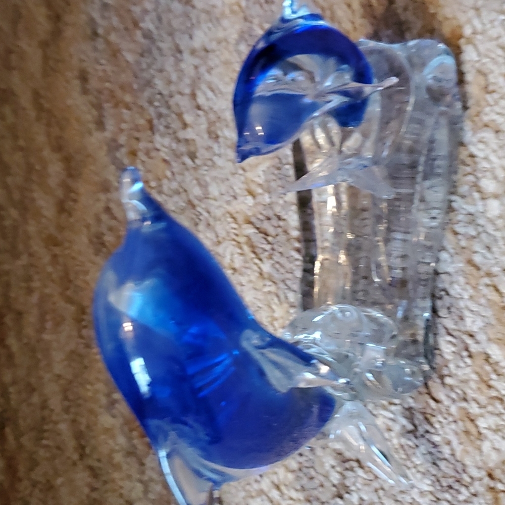 Dolphin glass accent